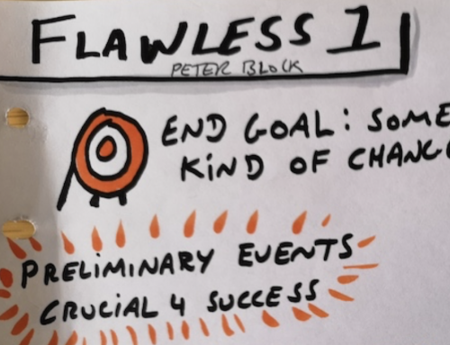 Flawless Consulting book – Sketchnotes