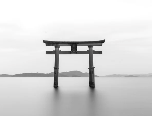 Video – Japanese Art of silence