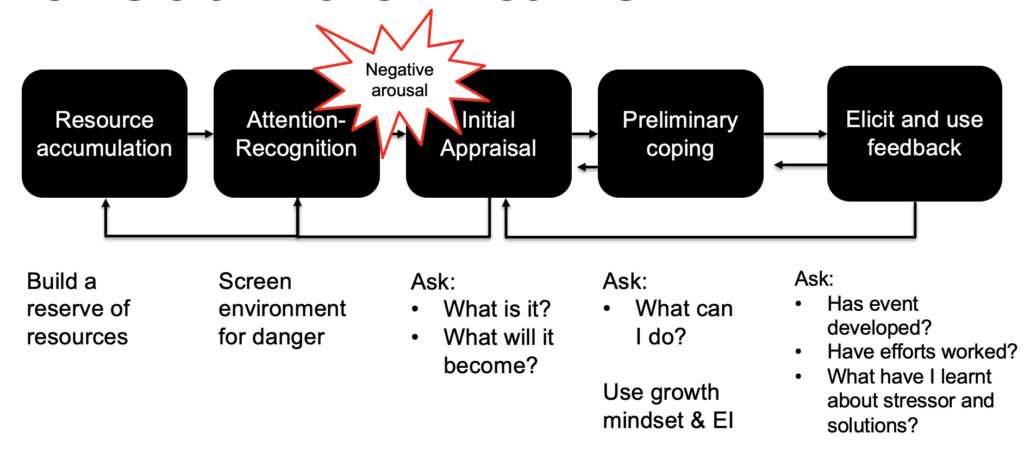 Phases of proactive coping