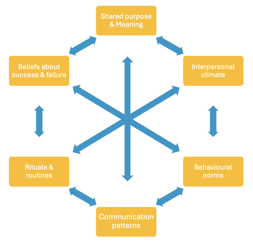 Visual of the 6 Elements of Team Culture - article covers these off